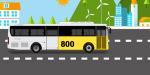 Experience the best of Jeju with the Yellow Tourist Bus